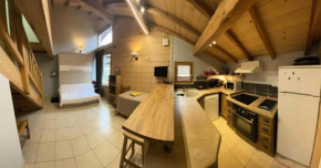 Résidence Melezet 1 - Superbe duplex T2 à 100m des pistes secteur point show MAE-9811